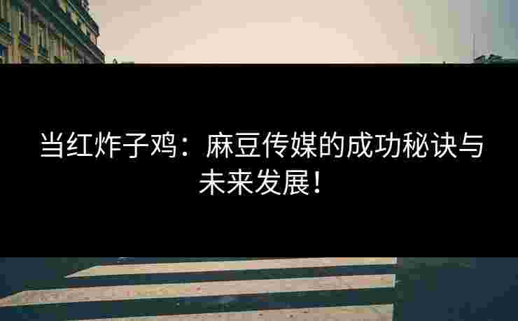 当红炸子鸡:麻豆传媒的成功秘诀与未来发展!