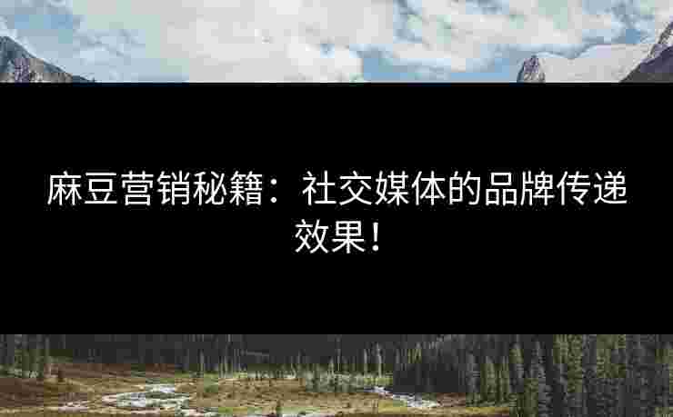 麻豆营销秘籍:社交媒体的品牌传递效果!